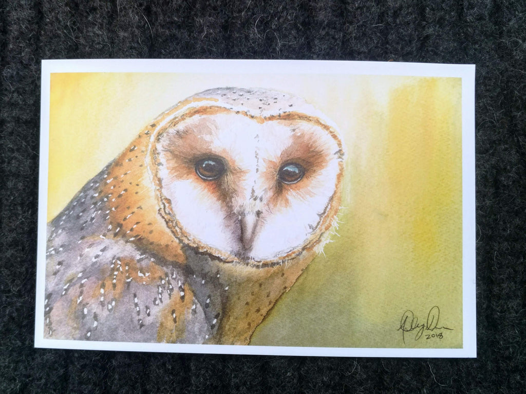 Birds of Prey Postcard Pack, fine art Postcards by Ashley Nelson