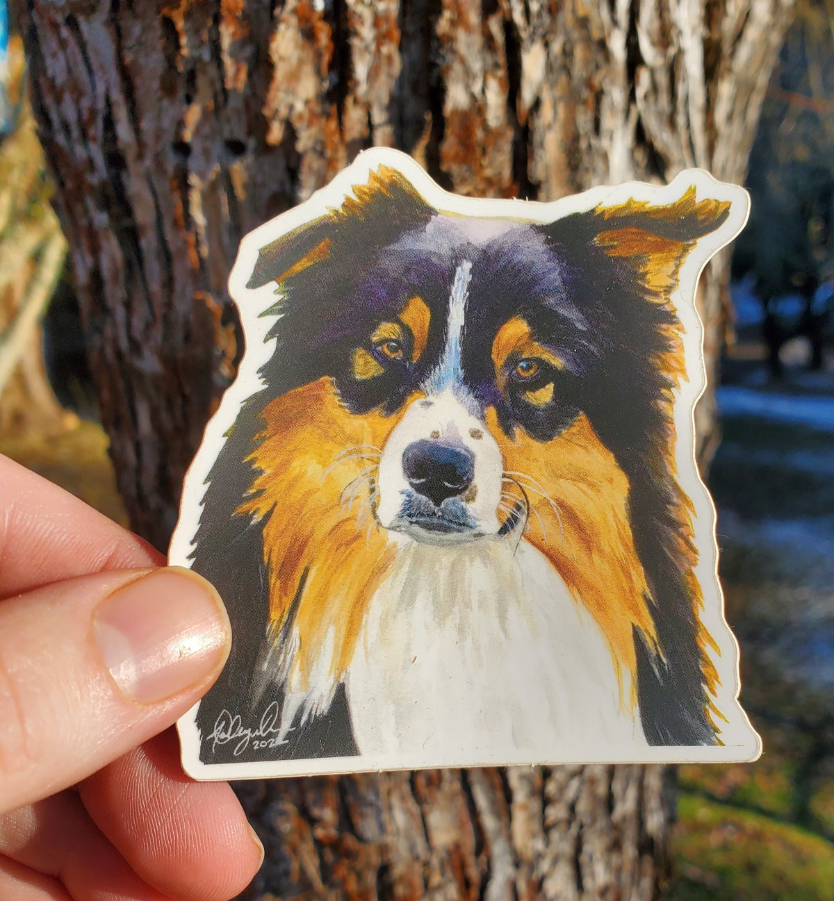 Australian Shepherd Vinyl Sticker by Ashley Nelson