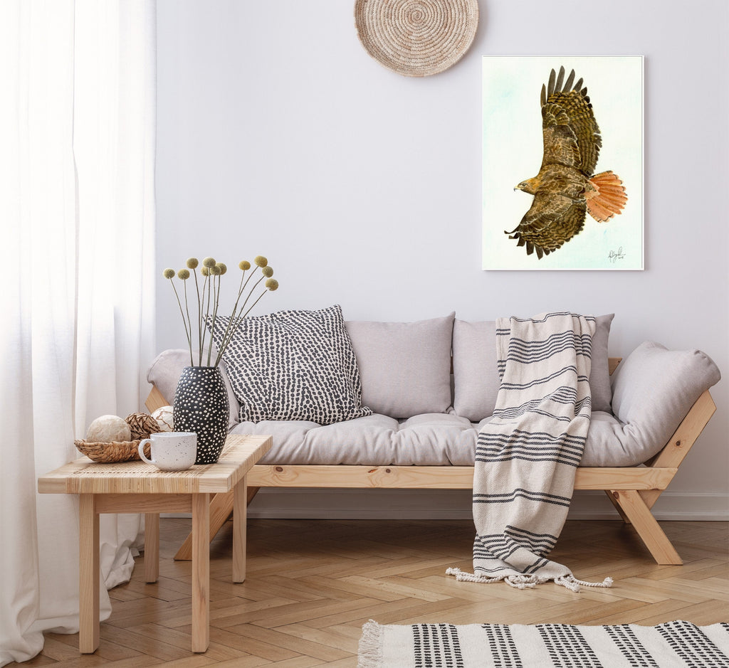Red Tailed Hawk, Fine Art Watercolor Print by Ashley Nelson
